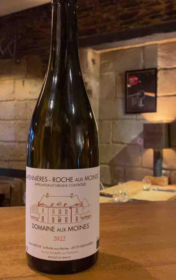 Roche Aux Moines - Domaine aux Moines - monique-tessa-laroche -2022