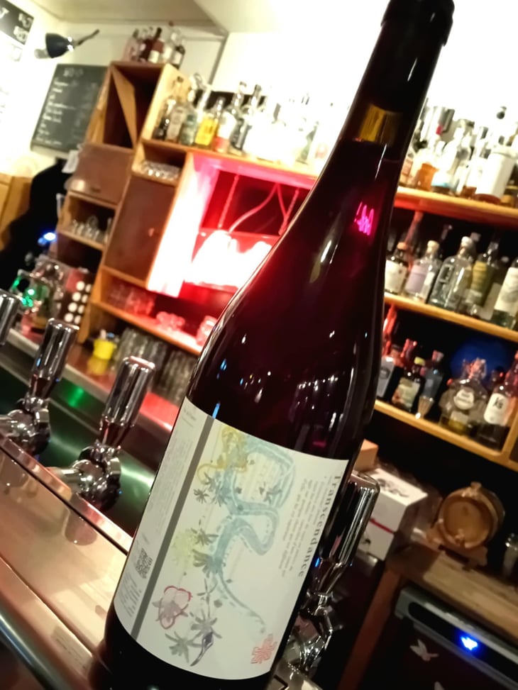 Transcendance - Clos Kixhaya - beatriz-leblanc-papamija -2021