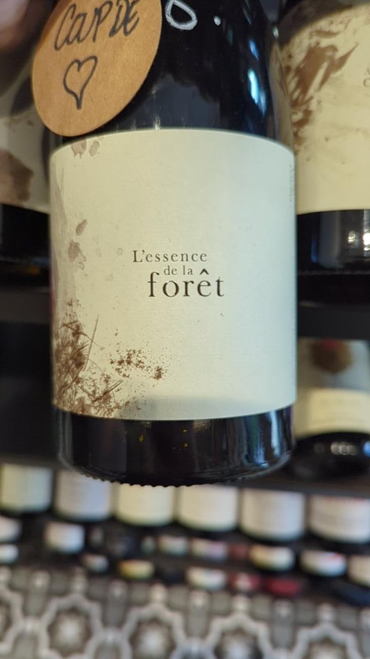 L'Essence de la Forêt - Les Petits Riens - fabien-bonnet-stefania-galimberti -2020