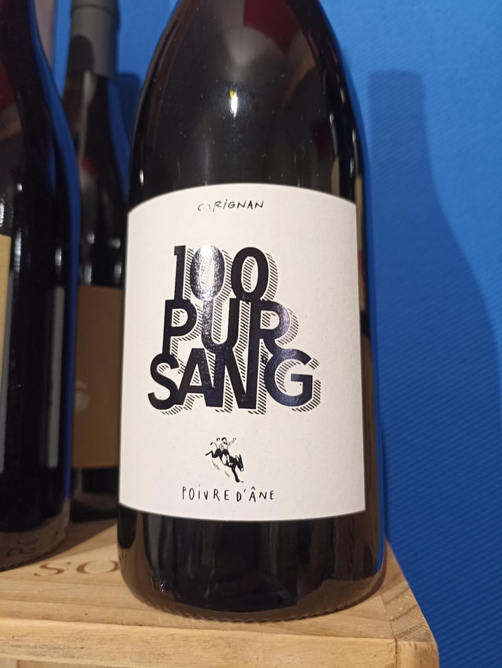 100 Pur Sang Carignan - Poivre d'Ane - alexandre-pons -2021