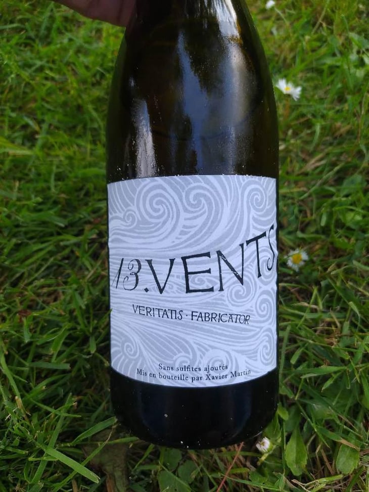 13 Vents - Veritatis Fabricator - xavier-martin 