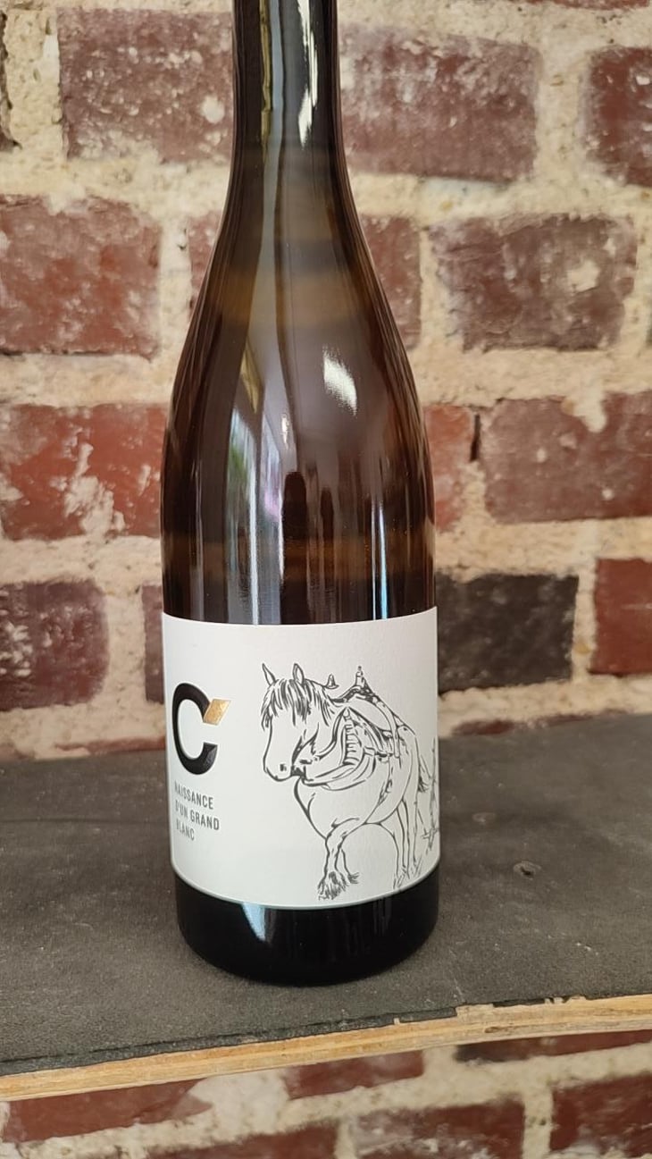 Naissance d'un grand blanc - Domaine de Cazaban - victoria-mattei -2023