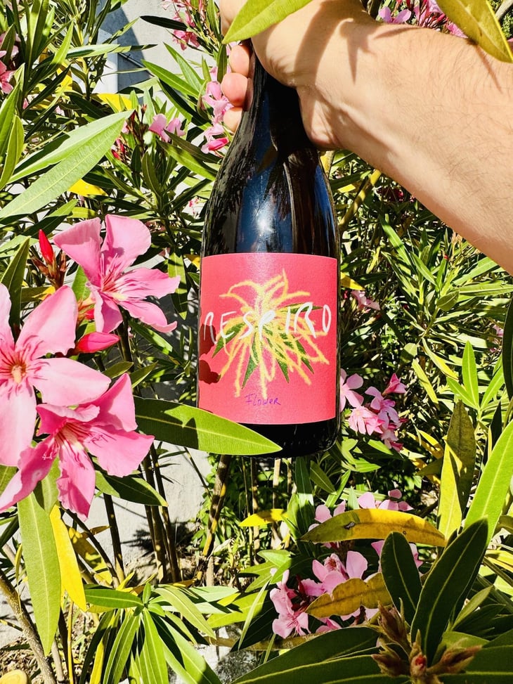 Respiro Flower - Cabeças do Reguengo - joao-afonso -2023