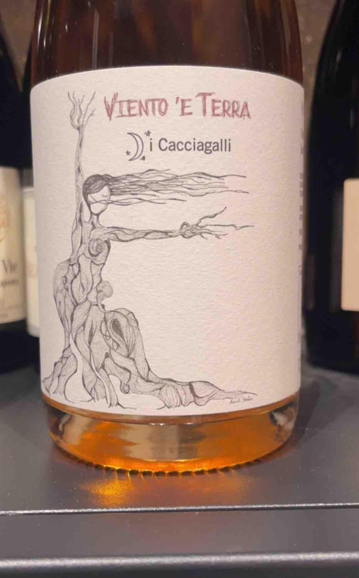 Viento ‘e Terra - Azienda Agricola I Cacciagalli - diana-lannaccone 