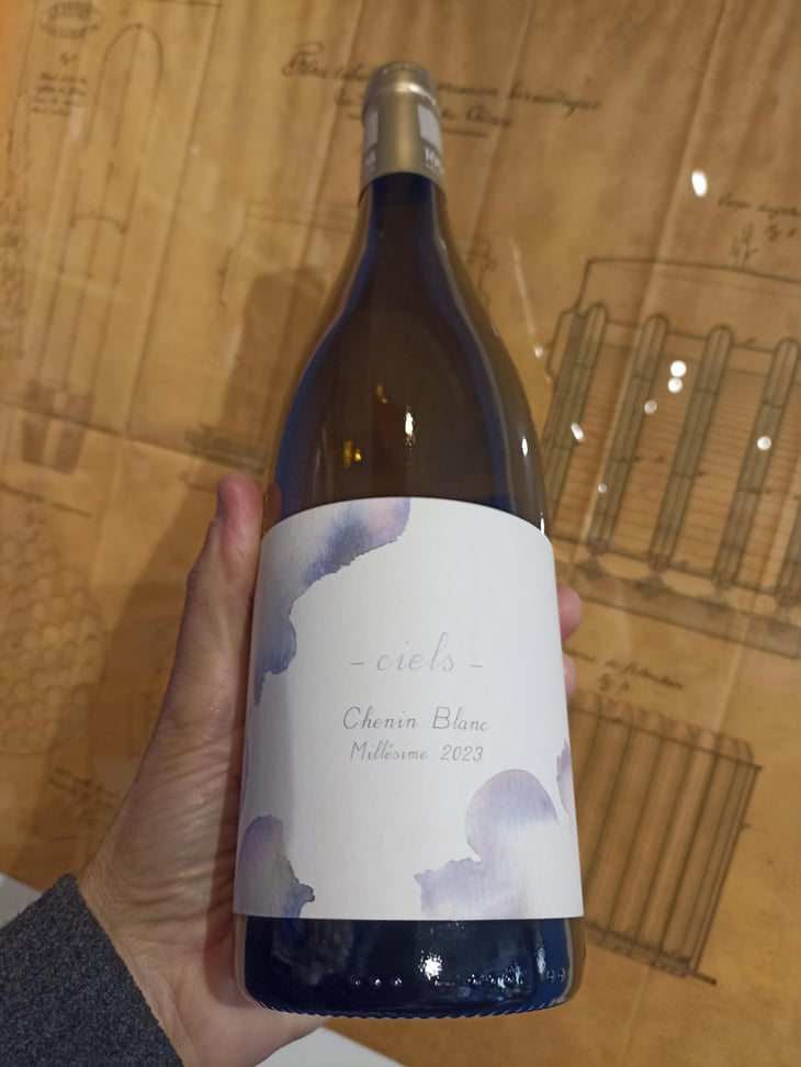 Ciels - 1006 Vins de Loire - pauline-lair -2023