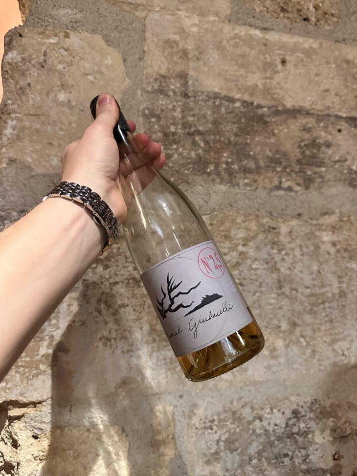 N°25 - Domaine Giudicelli - muriel-giudicelli -2022