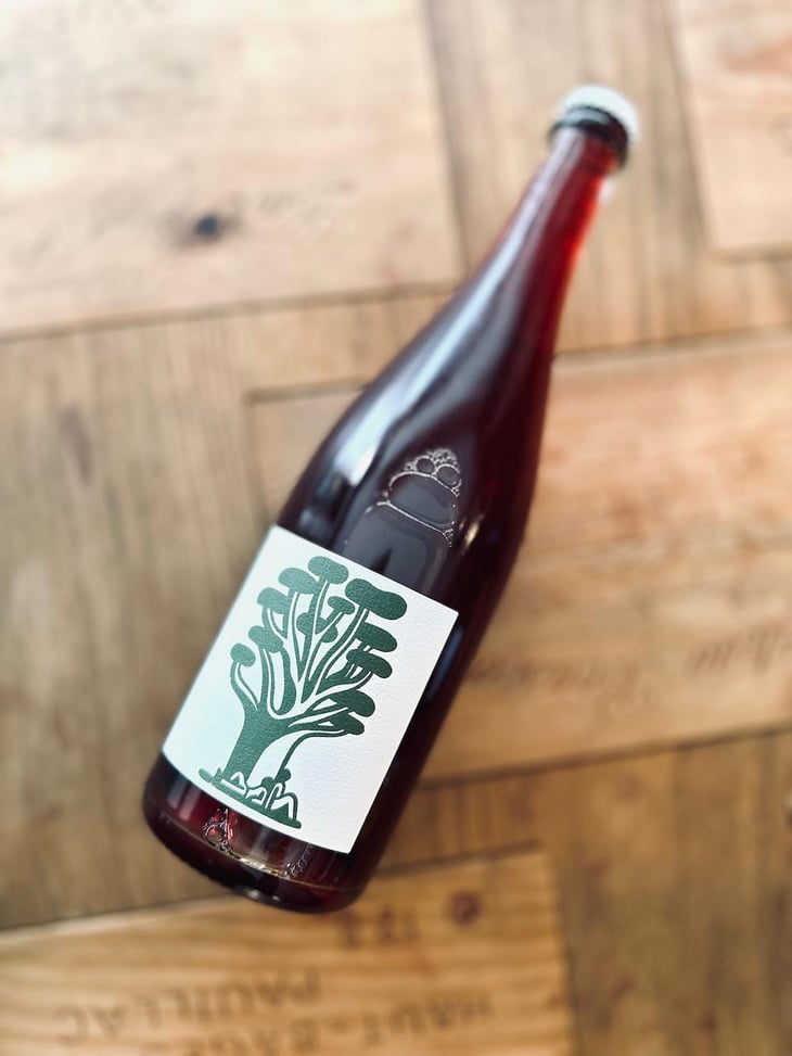 Vinot - Château Lafitte - antoine-caroline-arraou -2023