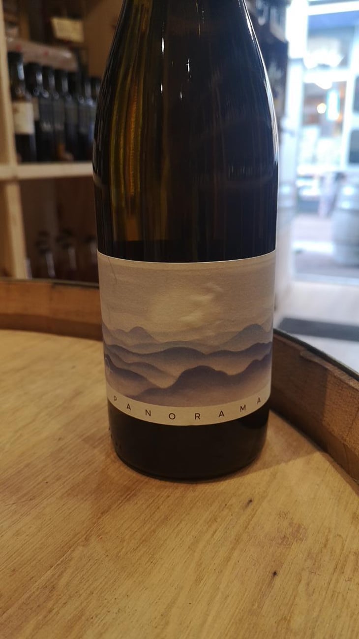 Panorama - La Petite Odyssée - antoine-bernardin -2023