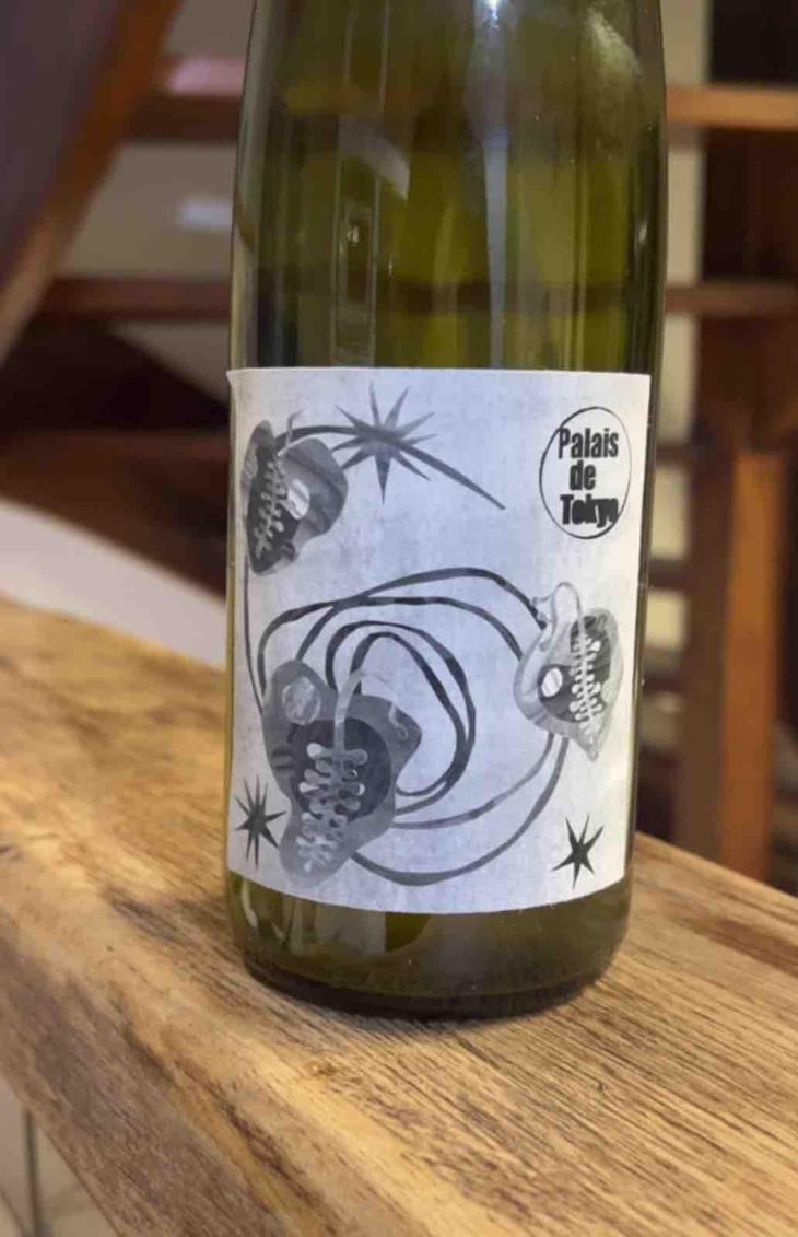 Palais de Tokyo - Pépin Vin - jean-dietrich-pierre-dietrich-sarah-hilzendeger-pierre-sanchez-et-xavier-cou-ec 