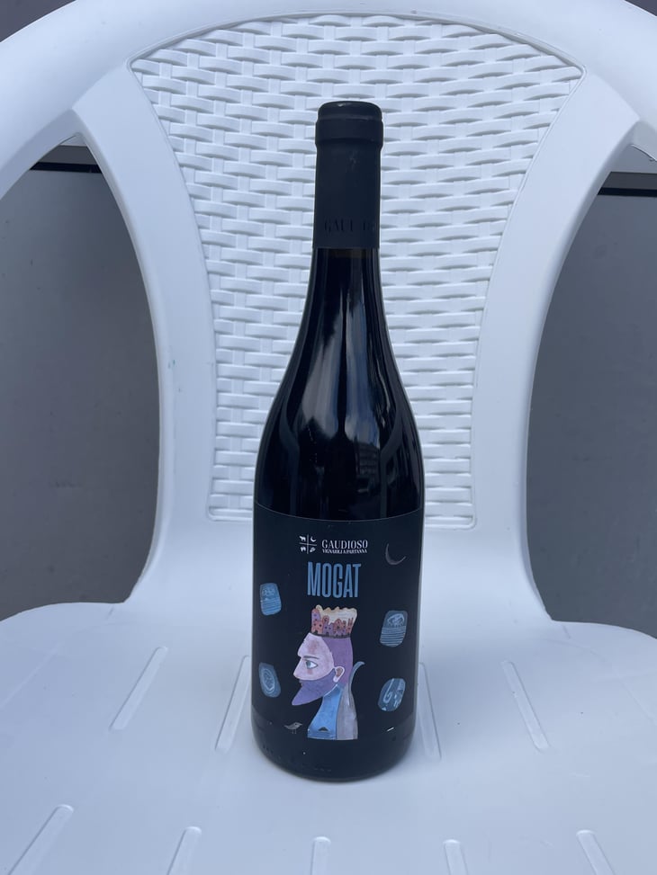 Mogat - Azienda Agricola Gaudioso - antonio-rosa-gaudioso -2020