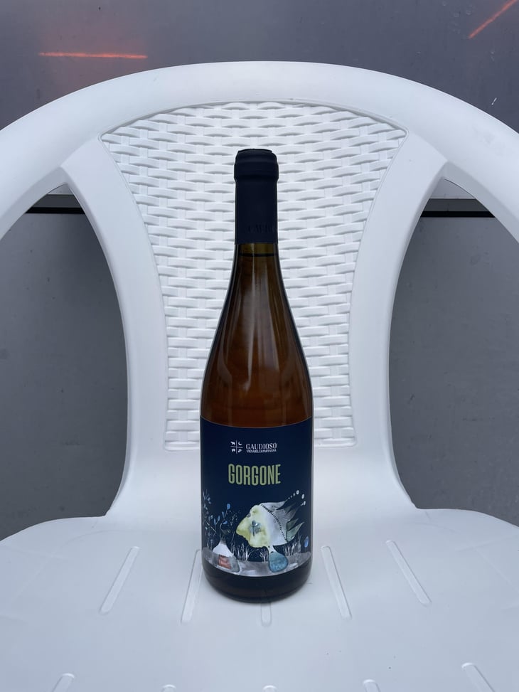 Gorgone - Azienda Agricola Gaudioso - antonio-rosa-gaudioso -2022