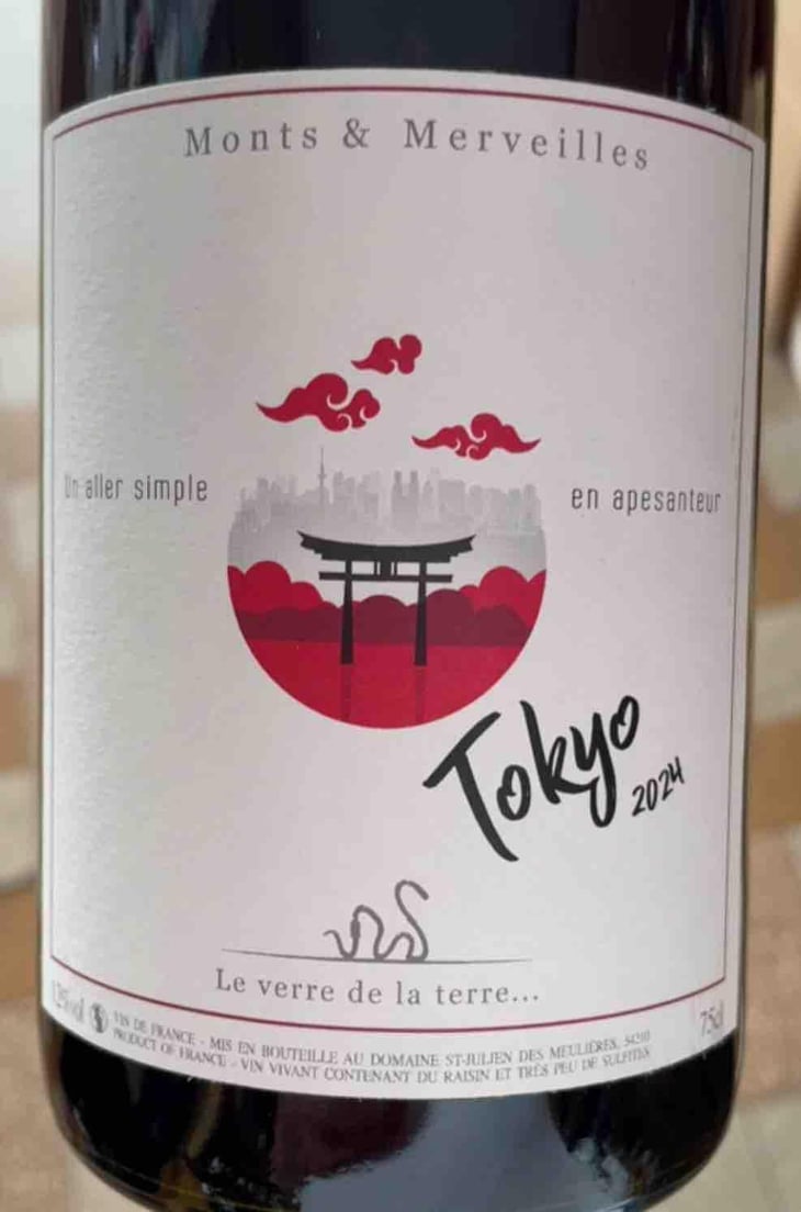 Tokyo - Monts et Merveilles - laure-boussu-julien-audard -2024