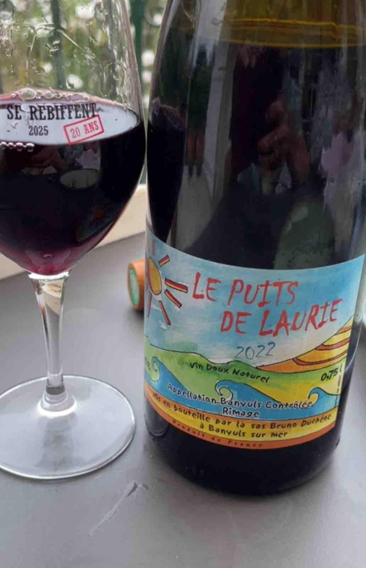 Le puits de Laurie - Bruno Duchêne - bruno-duchene -2022