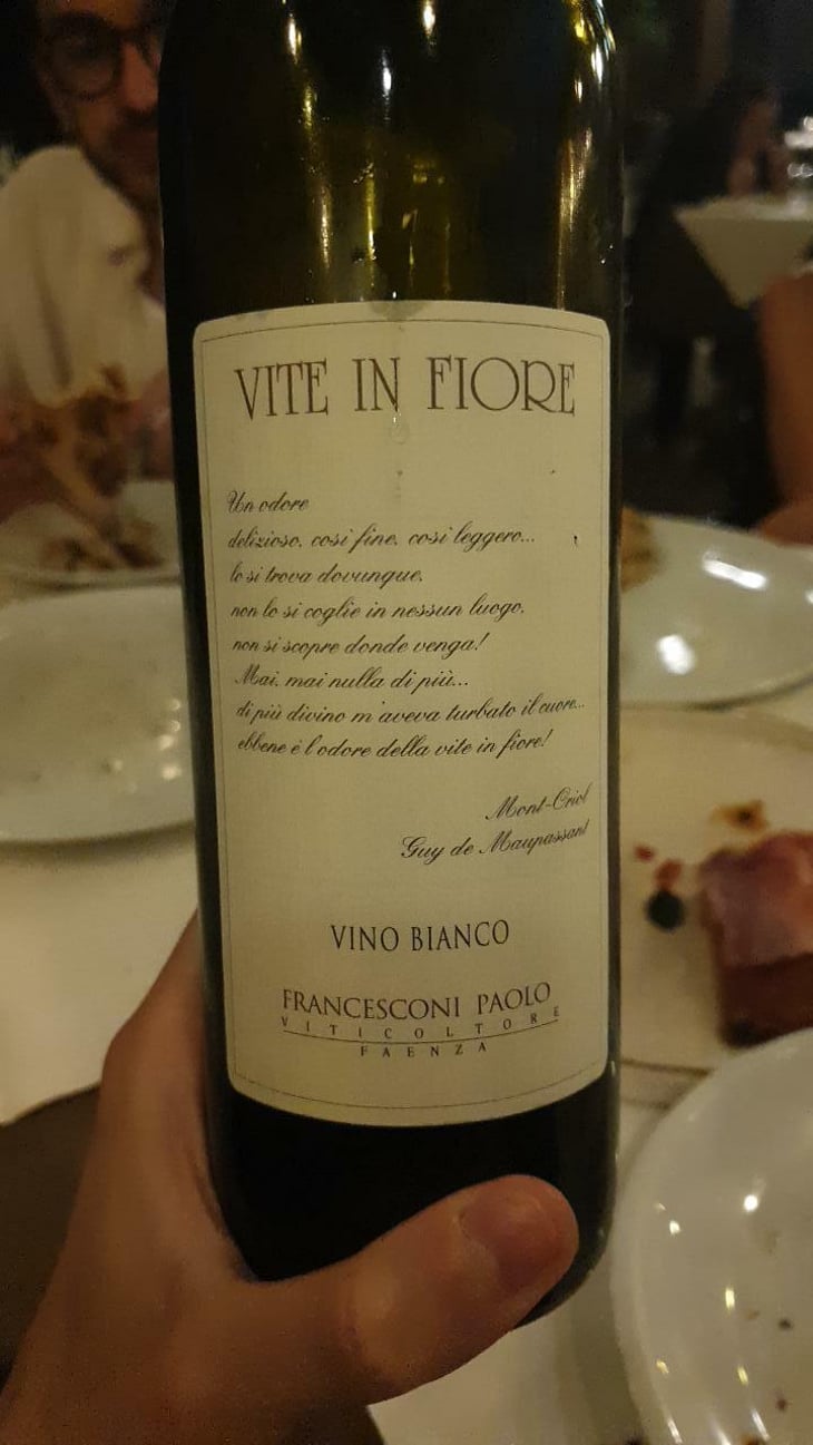 Vite in fiore - Paolo Francesconi - paolo-francesconi 