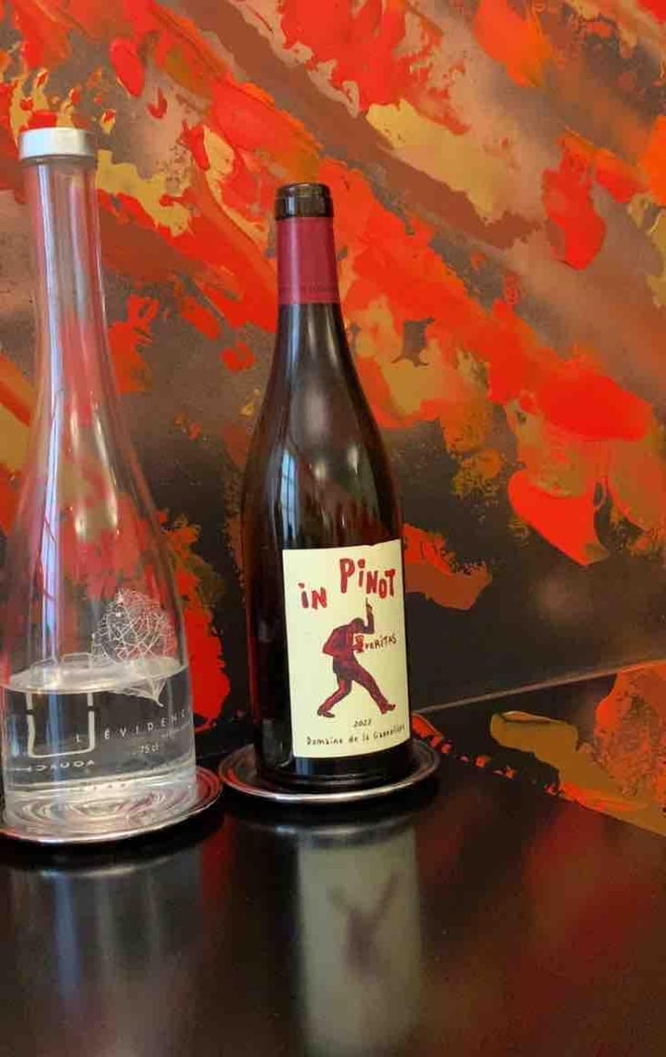 In pinot veritas - Domaine de la Garreliére - pascale-francois-plouzeau -2022