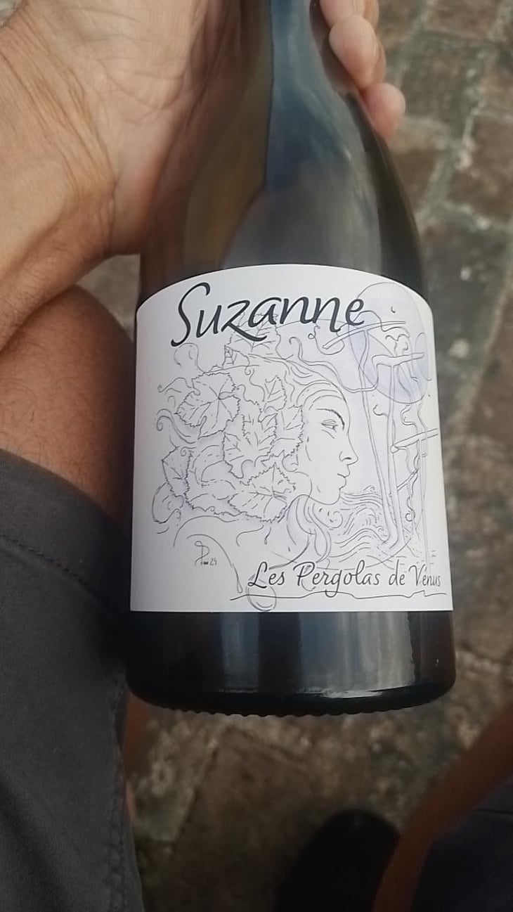 Suzanne - Adrien Berlioz - adrien-berlioz -2025