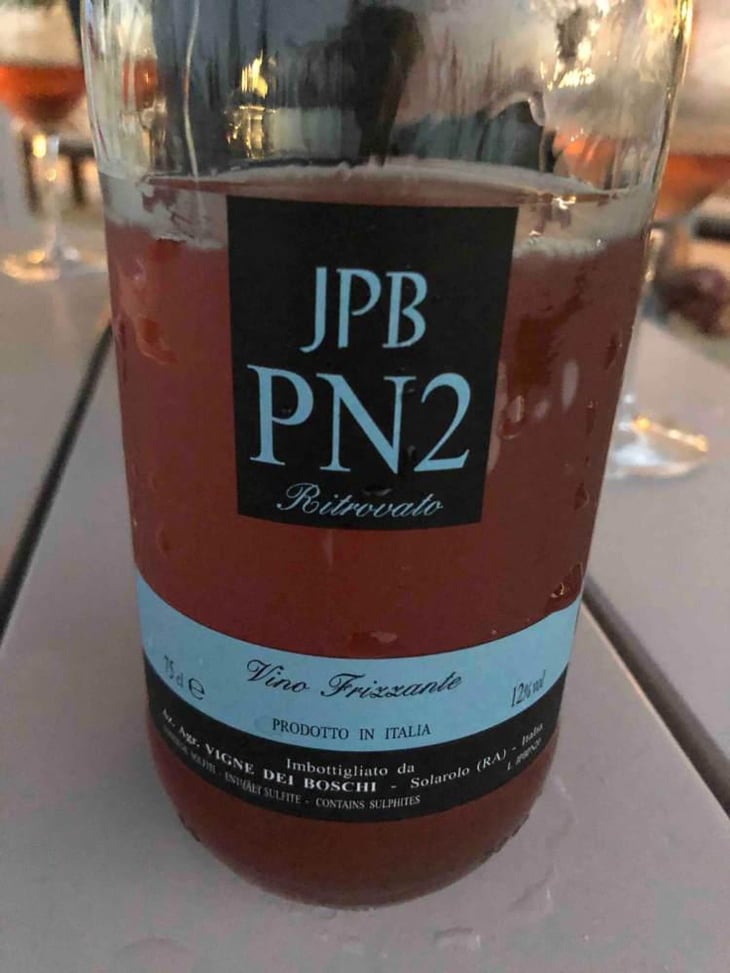 PN2 - Vigne dei Boschi - paolo-babini 