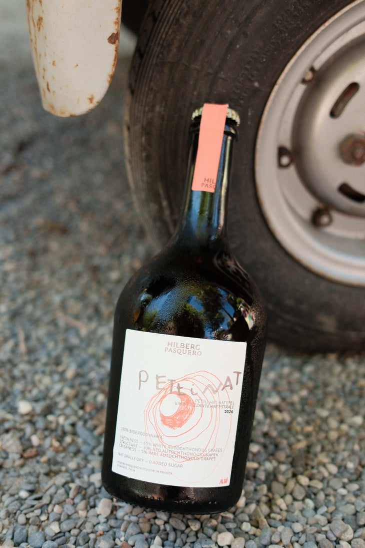 Petinat - Hilberg Pasquero - annette-hilberg-michele-pasquero -2024