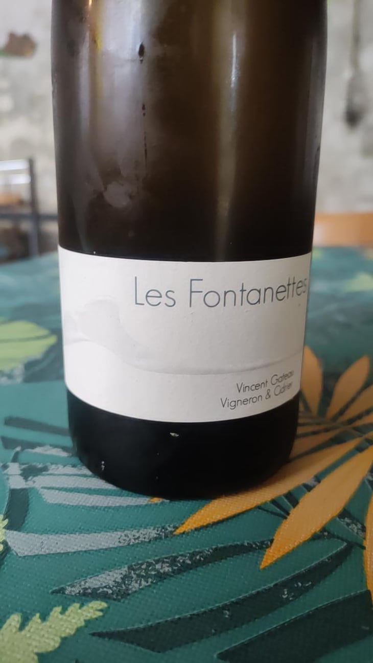 Les Fontanettes - Vincent Gateau Vigneron & Cidrier - vincent-gateau-4b -2025
