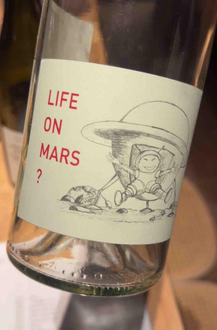 Life on Mars ? - Weingut Nord & Süd - christoph-mathilde-daigniere-koller 