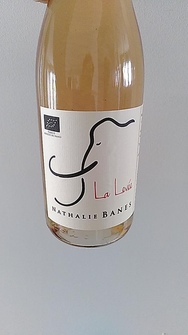 La Levée - Nathalie Banes - nathalie-banes 