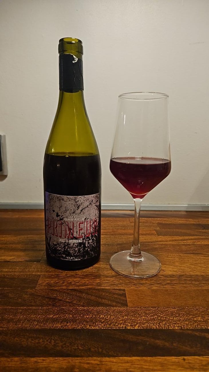 Primeur - Domaine des 2 Fauves - laura-soldan-charles-henri-quantin -2024