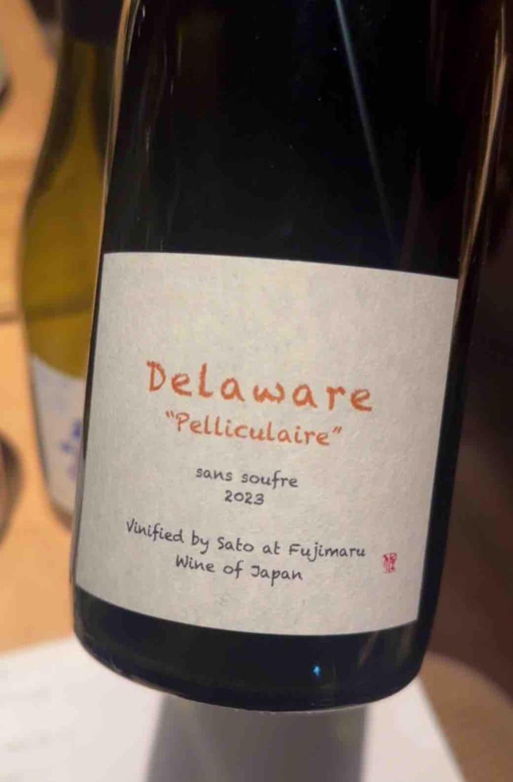 Delaware “Pelliculaire” sans soufre by Sato - Fujimaru Brewery (Shimanouchi / Kiyosumi Shirakawa) - satoshi-fujimaru -2023