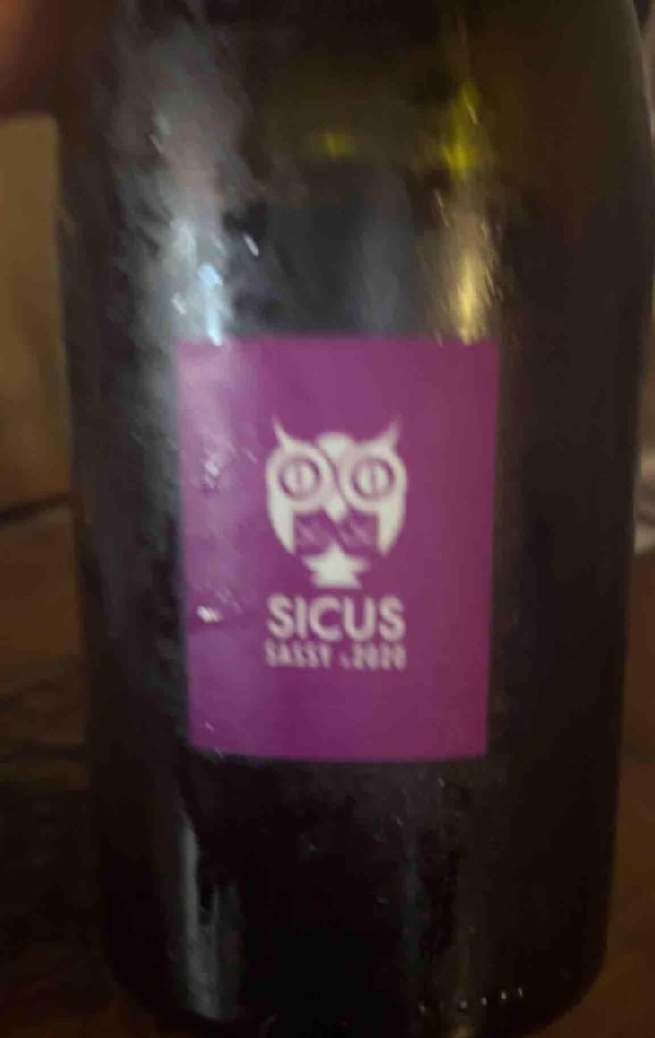 Sassy - Sicus - eduard-pie -2020