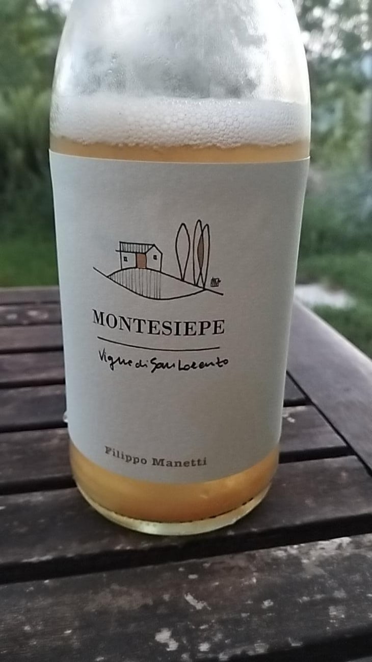 Montesiepe - Vigne di San Lorenzo - filippo-manetti -2022