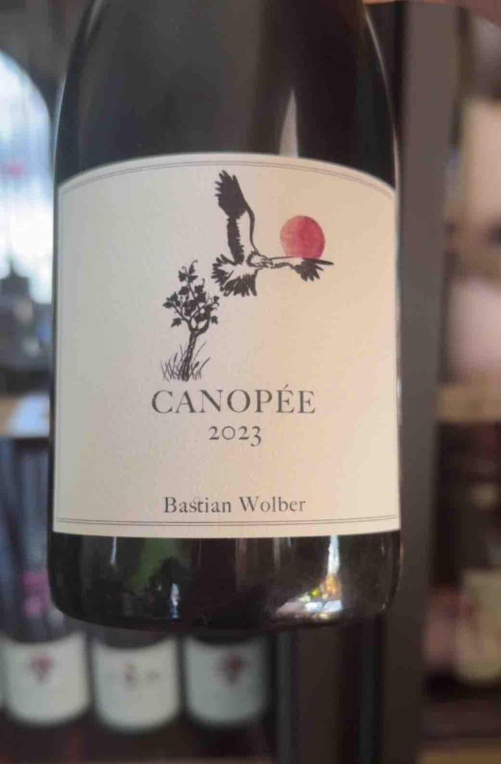 Canopée - Laisse Tomber - bastian-wolber -2023