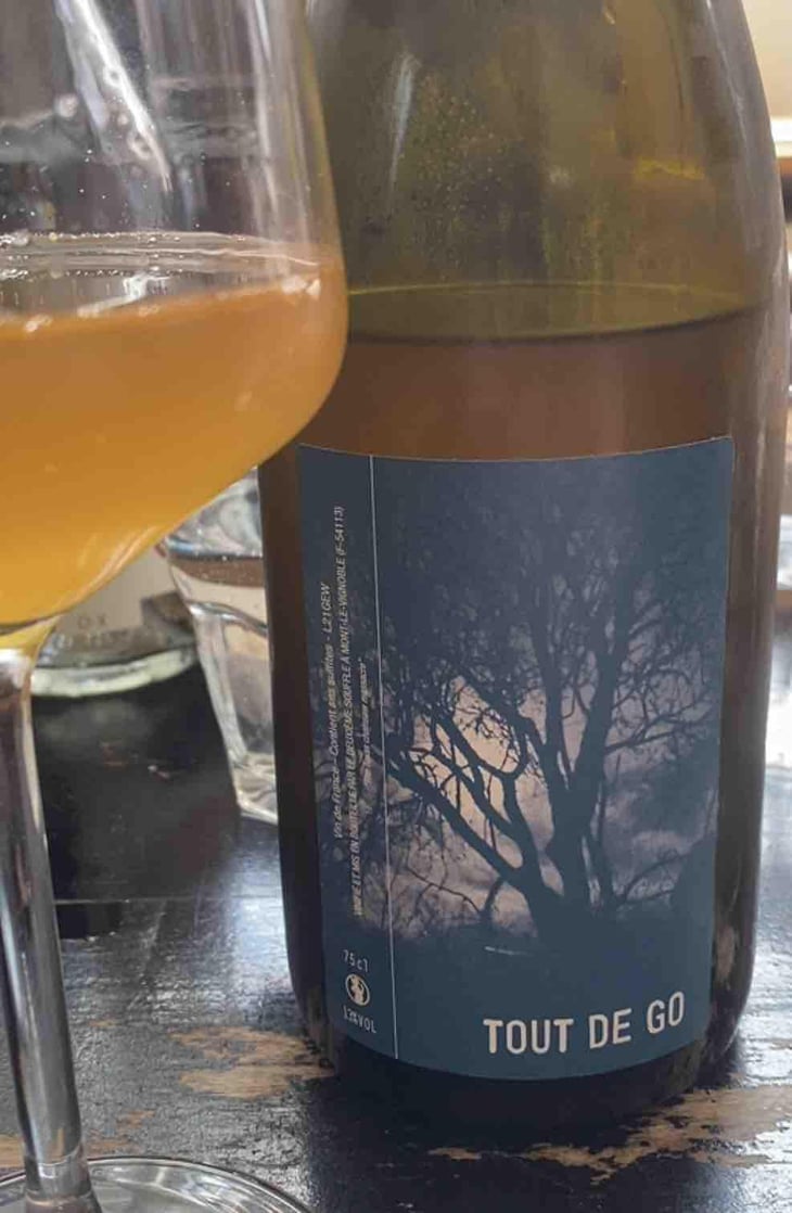 Tout de go - Stephane Cyran - stephane-cyran -2021