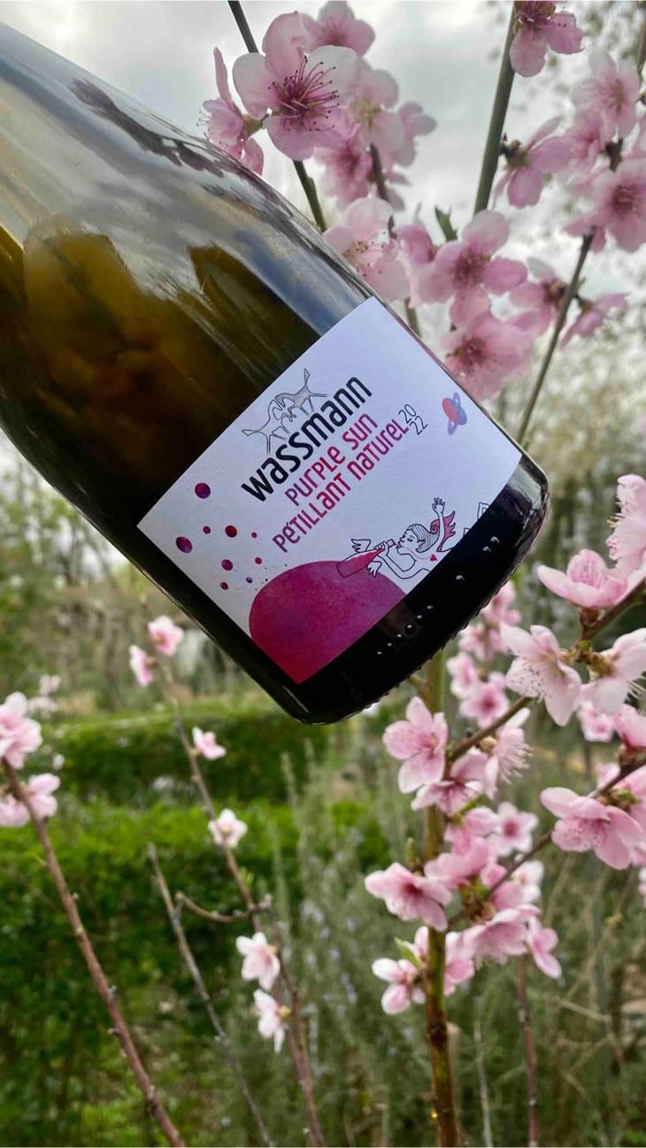 Purple Sun Pétillant Naturel - Weingut Wassmann - susann-hanauer-ralf-wassmann -2022