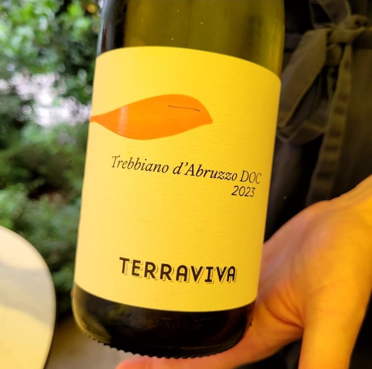 Trebbiano d'Abruzzo DOC - Tenuta Terraviva - martino-taraschi -2023