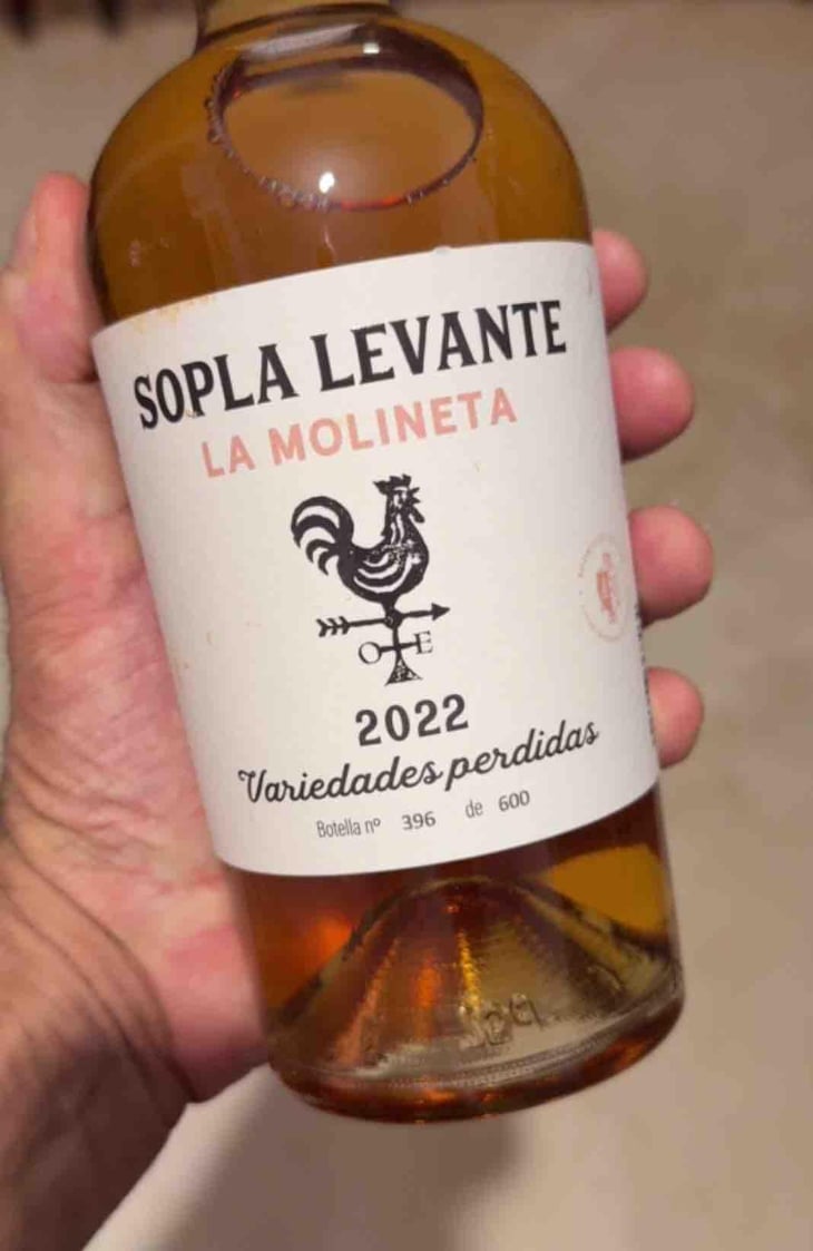 La Molineta - Sopla Levante - pepe-rodriguez-de-vera-hilarion-pedauye-alvaro-ruiz-alberto-soriano -2022