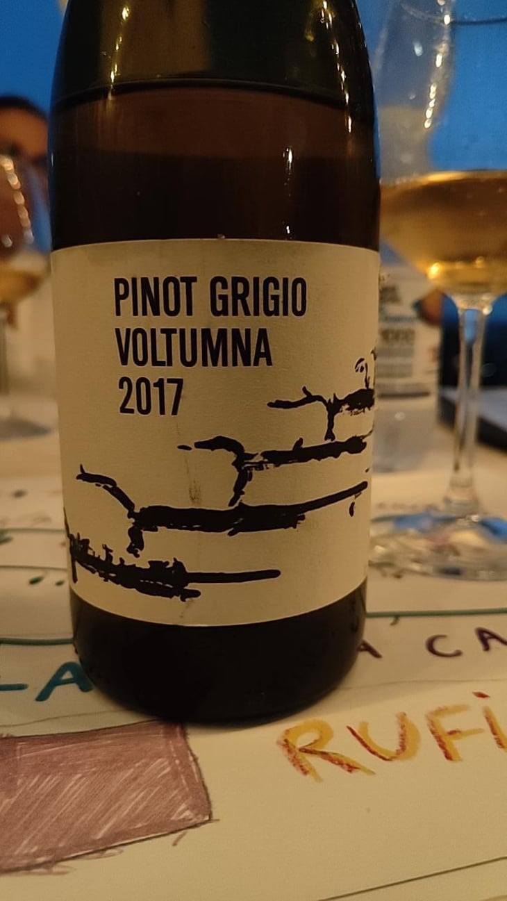 ZENO - Voltumna - marzio-politi -2017