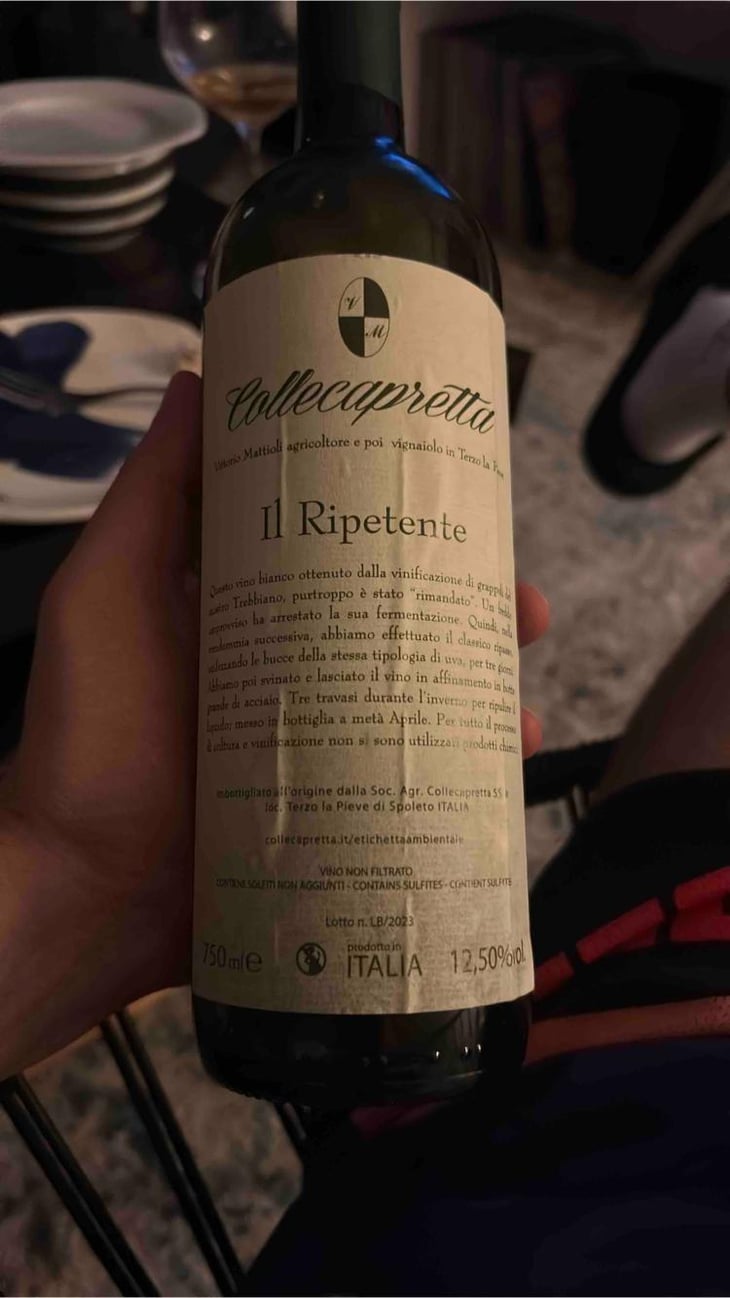 Il ripetente - Collecapretta - anna-vittorio-mattioli 