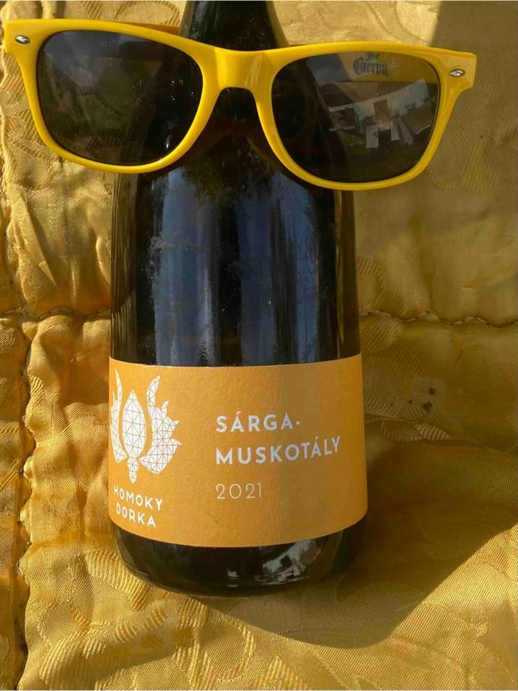 Sárgamuskotály - Homoky Dorka - dorka-homoky -2021