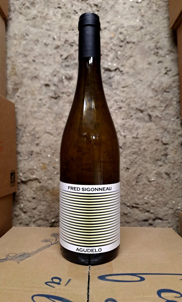 Agudelo - Domaine de l'R - frederic-sigonneau -2025