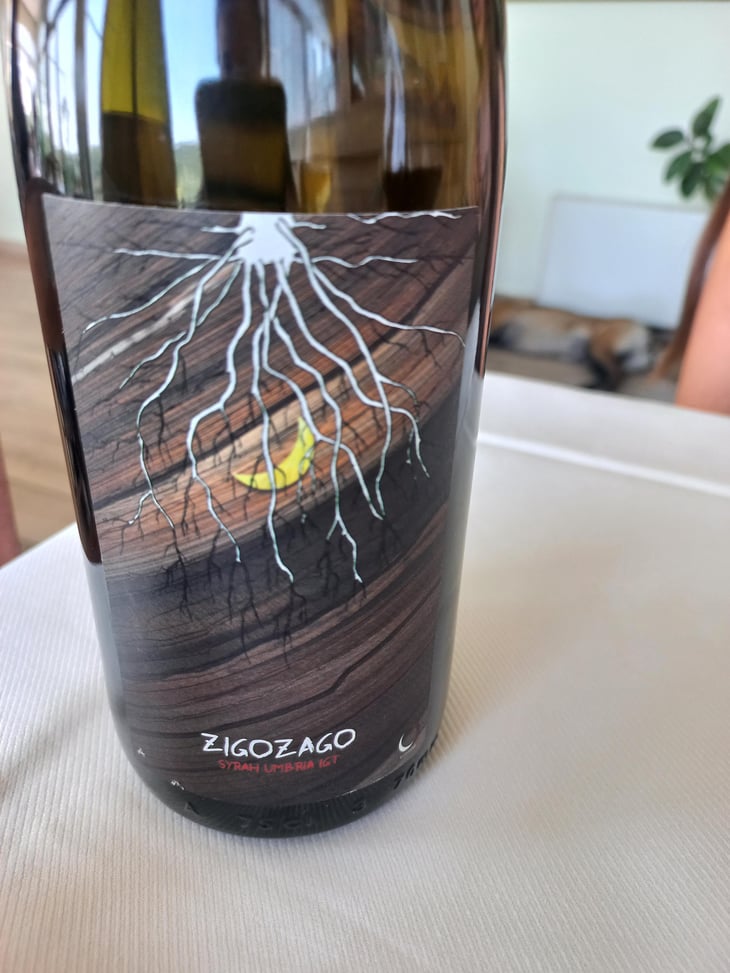 Zigozago - Lumiluna Casa Vinicola - giulio-rinaldi-luca-bigicchia 