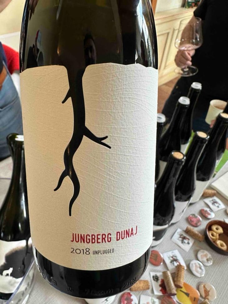 Jungberg Dunaj - Vino Magula - vladimir-magula-junior-magula-family -2018