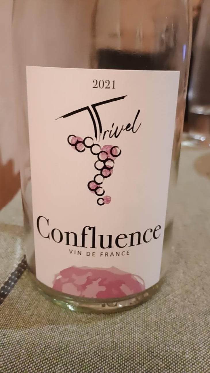 Confluence - Domaine de Trivel - sidonie-joggerst-thomas-guillon -2021