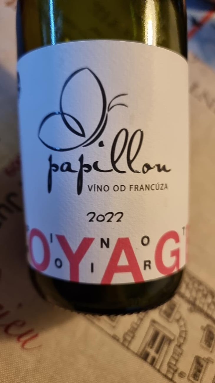 Voyage - Vino Od Francuza - david-papillon-darina-geciova -2025