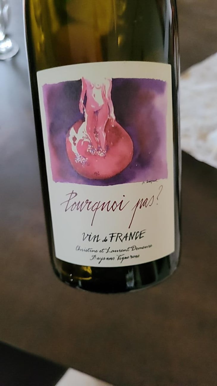 Pourquoi pas - Vin & Pic - laurent-christine-demeure-pierre-rolle -2024