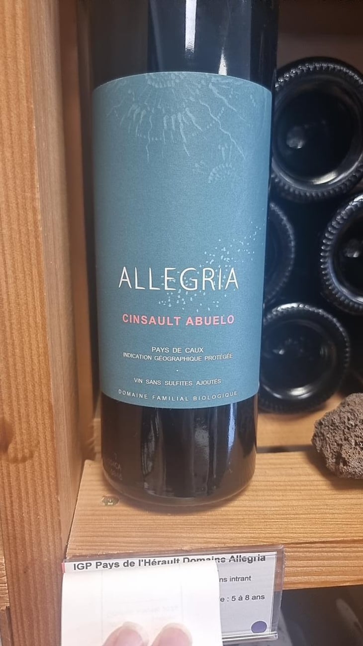 Cinsault abuelo - Allegria - antonio-demaio -2024