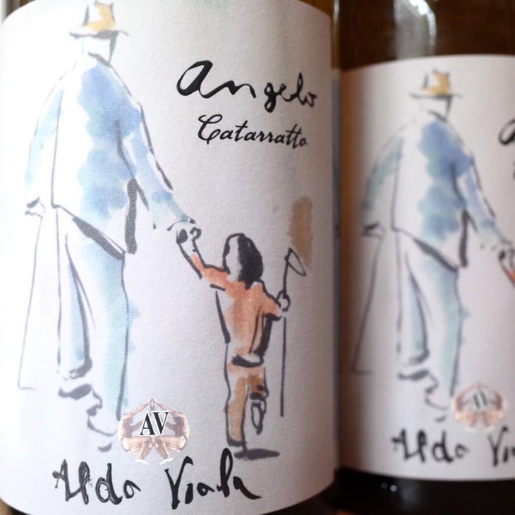 angelo - Azienda Agricola Aldo Viola - aldo-viola -2022