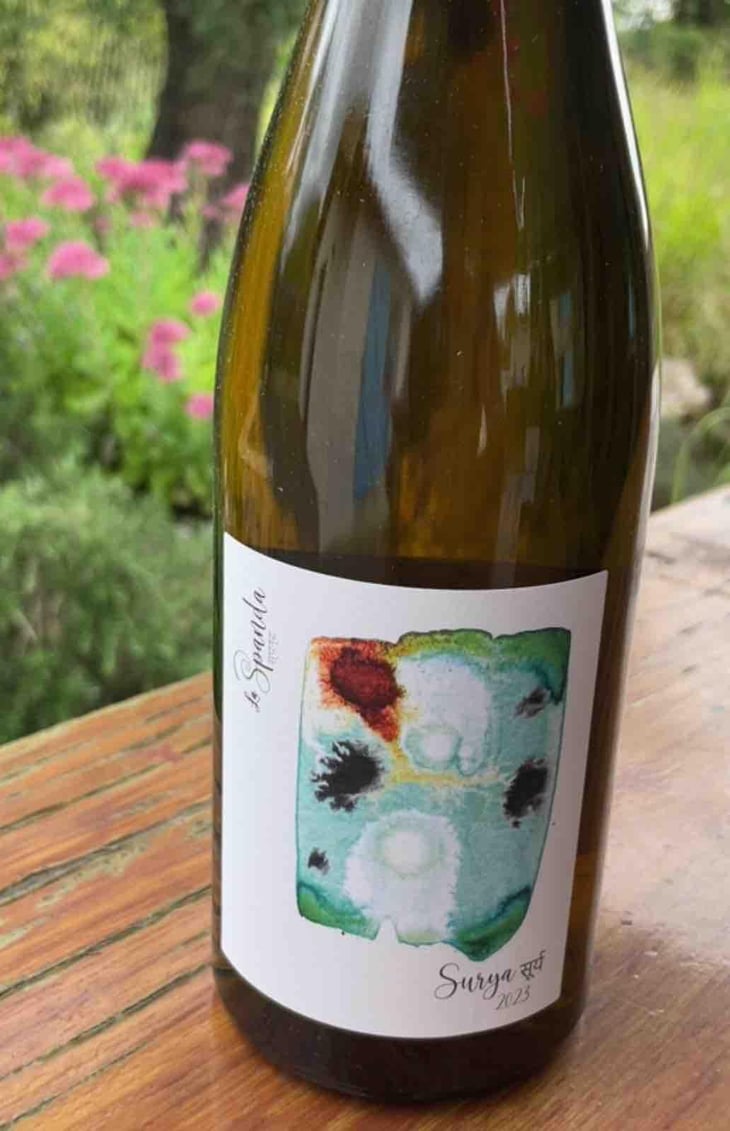 Surya - La Spanda - virginie-maignien -2023