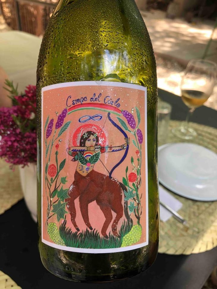 Campo del Cielo - Stella Crinita - joanna-foster-ernesto-catena -2022