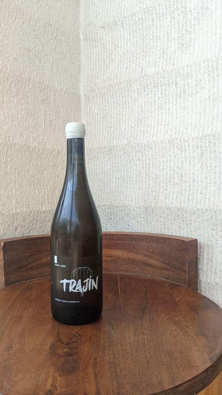 Trajin - Clandelvino Bodega - fernando-e-irene -2023