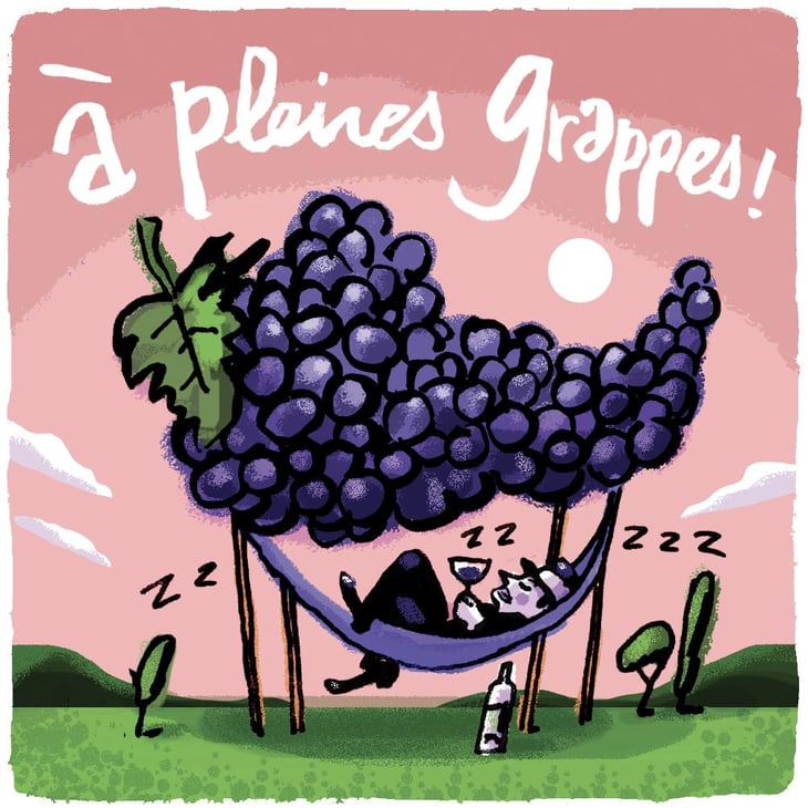 A pleines grappes - l’Abri - franck-pasquier -2022