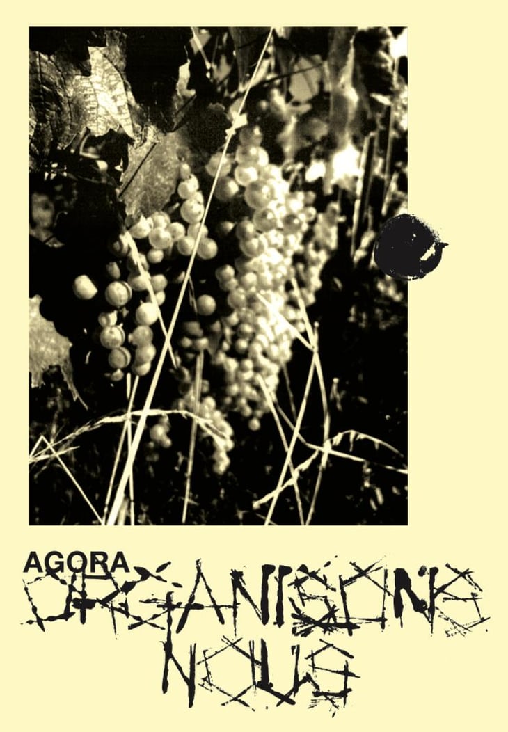 Agora - Organisons Nous - iris-frauchiger-vangelis-papaefthymiou 